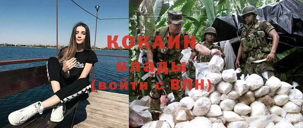 твердый Абаза