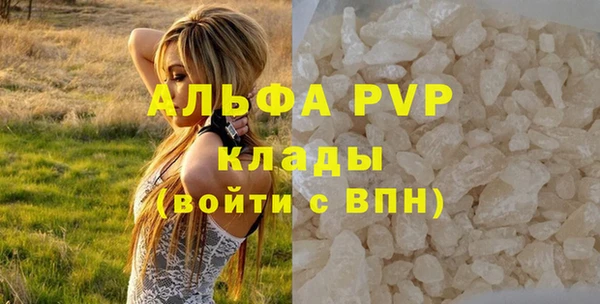 твердый Абаза