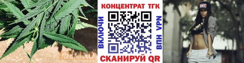 ТГК Wax Тутаев
