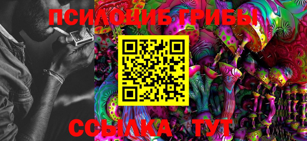 Галлюциногенные грибы Psilocybe Тутаев